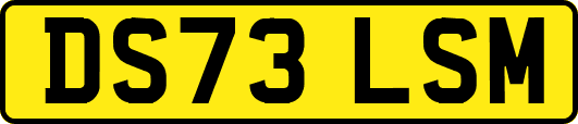 DS73LSM