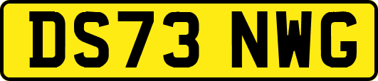 DS73NWG