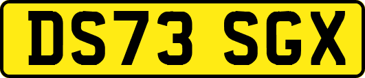 DS73SGX