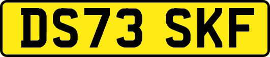 DS73SKF