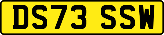 DS73SSW