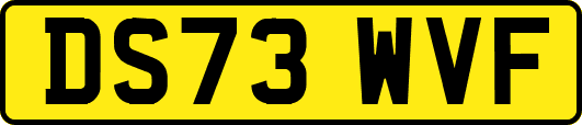 DS73WVF
