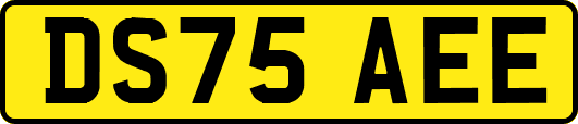 DS75AEE