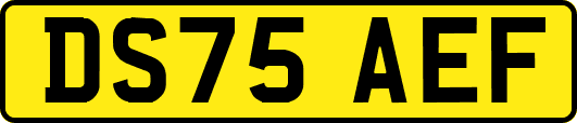 DS75AEF