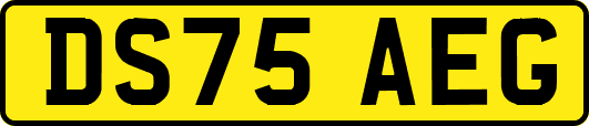 DS75AEG