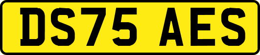 DS75AES
