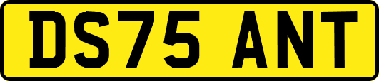 DS75ANT