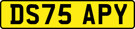 DS75APY