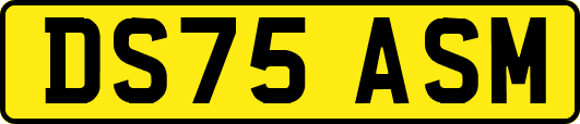 DS75ASM