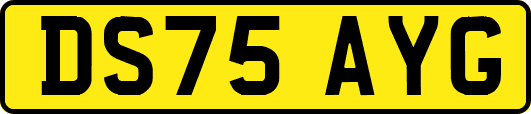 DS75AYG