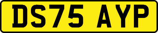 DS75AYP