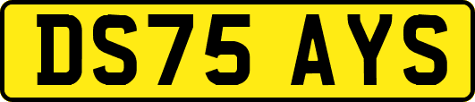 DS75AYS