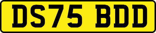 DS75BDD