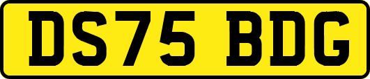 DS75BDG