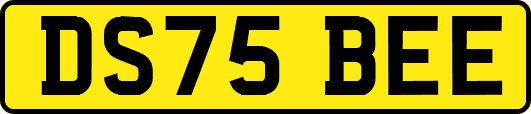 DS75BEE