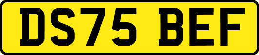 DS75BEF