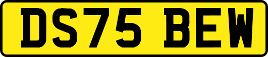 DS75BEW