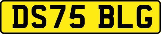 DS75BLG