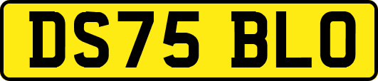 DS75BLO