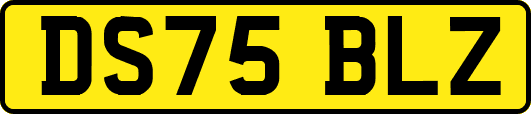 DS75BLZ