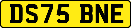 DS75BNE