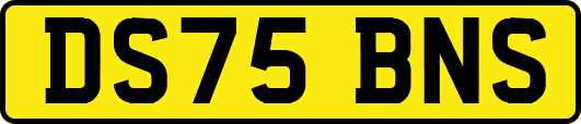 DS75BNS