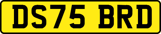 DS75BRD