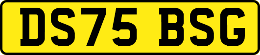 DS75BSG