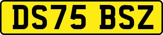 DS75BSZ