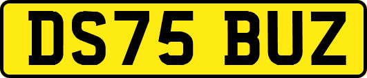 DS75BUZ