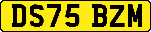 DS75BZM
