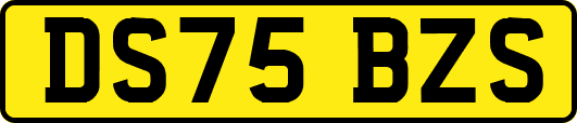 DS75BZS
