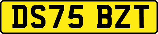 DS75BZT