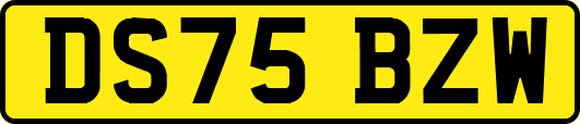 DS75BZW