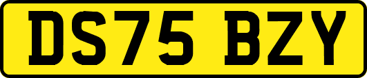 DS75BZY