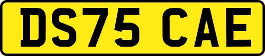DS75CAE