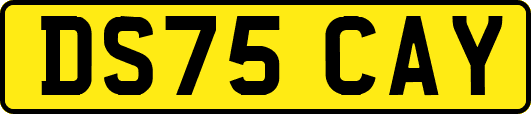 DS75CAY