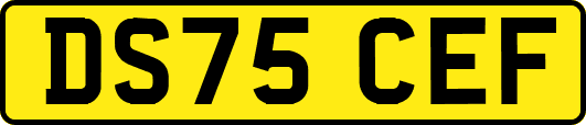 DS75CEF