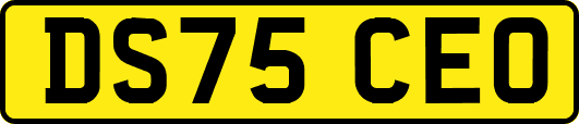 DS75CEO