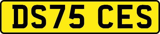DS75CES