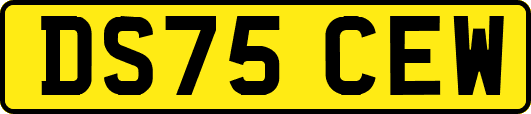 DS75CEW
