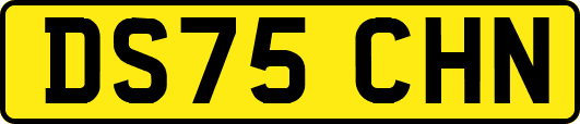 DS75CHN