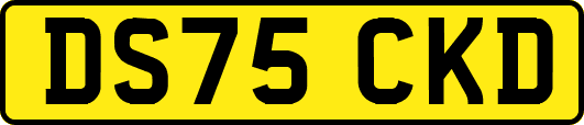 DS75CKD
