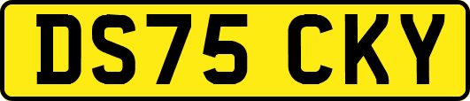 DS75CKY