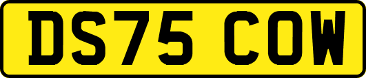 DS75COW