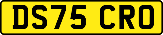 DS75CRO