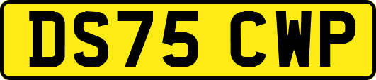 DS75CWP