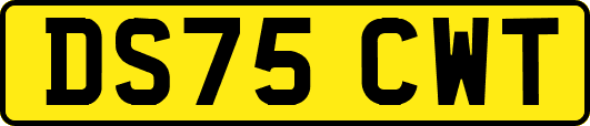 DS75CWT