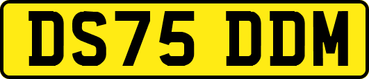 DS75DDM