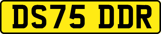 DS75DDR
